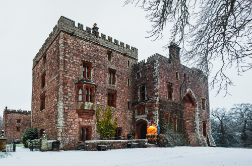 Winter Gardens Birds and Activities Pass